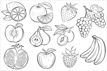 Set of black and white outlined fruits including berries, citrus and tropical varieties in hand-drawn style