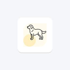 Golden Retriever, vector, pixel perfect, illustrator file