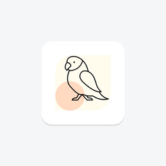 Parakeet, vector, pixel perfect, illustrator file