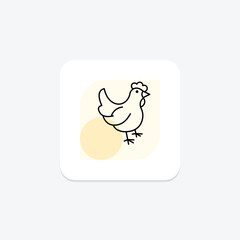 Chicken, vector, pixel perfect, illustrator file