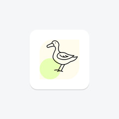 Duck, vector, pixel perfect, illustrator file