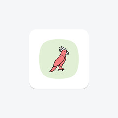 Cockatoo, vector, pixel perfect, illustrator file