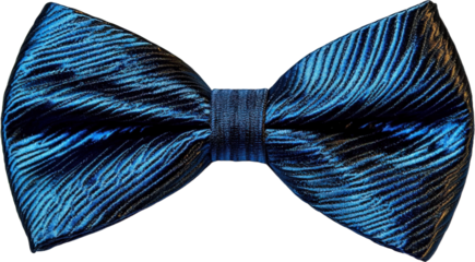 Elegant Navy Blue Striped Bow Tie