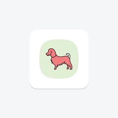Collie, vector, pixel perfect, illustrator file