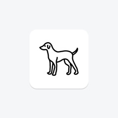 Fototapeta premium Dog, vector, pixel perfect, illustrator file