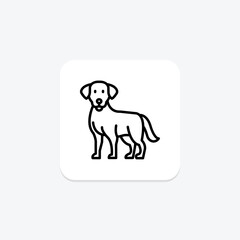 Labrador Retriever, vector, pixel perfect, illustrator file