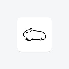 Guinea Pig, vector, pixel perfect, illustrator file
