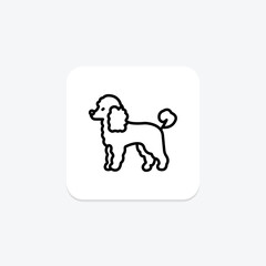 Poodle, vector, pixel perfect, illustrator file