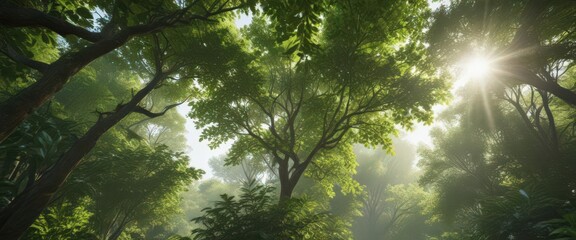 Fototapeta premium Lush green forest canopy, dappled sunlight filtering through leaves, ecology, green, plants