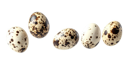 Five Fresh Quail Eggs Floating on Transparent Background