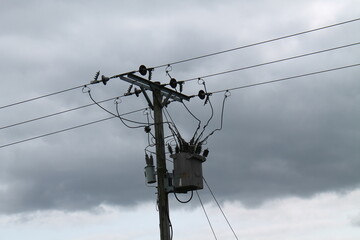 The Switchgear on an Electricity Transmission Pole.