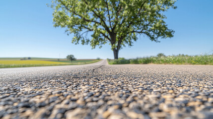 Serene road stretches into distance, framed by large green tree under clear blue sky, evoking sense of peace and tranquility