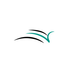 decal car design