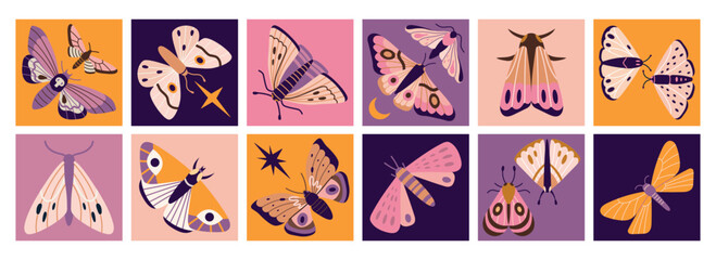 Square icons with various moths, hawkmoths and night butterflies. Nocturnal insect collection. Ethereal modern vector illustration  for esoteric designs, hand drawn, flat style