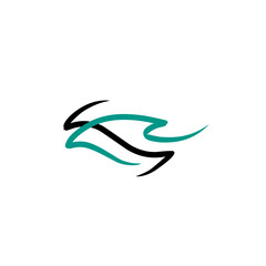 decal car design