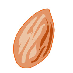 vector illustraion of almond cartoon flat style. almond snack healthy isolated on white background.eps