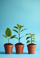 Obraz premium Energy efficiency conservation optimization concept. Growing plants in pots against a blue background