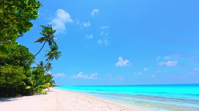 The aerial view in the island with white sand beach as coastline in summer Maldives	