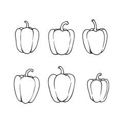 Hand Drawn Bell Pepper Line Art Illustration