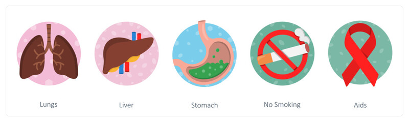 A set of 5 mix icons as lungs, liver, stomach 