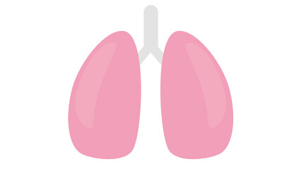 Breathtakingly beautiful healthy lungs graphic perfect for medical illustrations or educational resources