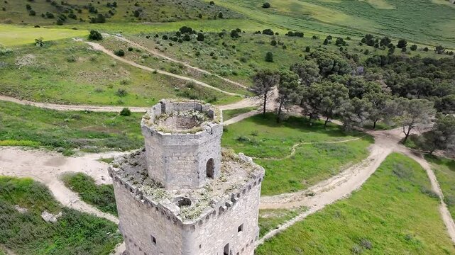 Castillo de Espa&ntilde;a. Castillo abandonado de Barcience