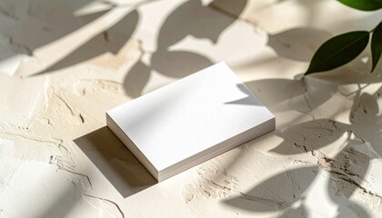 名刺のモックアップ