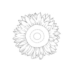 vector illustration of a flower