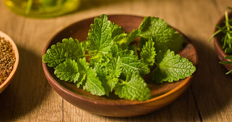 Top view of fresh and green mint leaves with visible veins, placed in a small wooden bowl. Mint leaves have many health benefits and are widely used in traditional Chinese medicine. Herbal therapy.