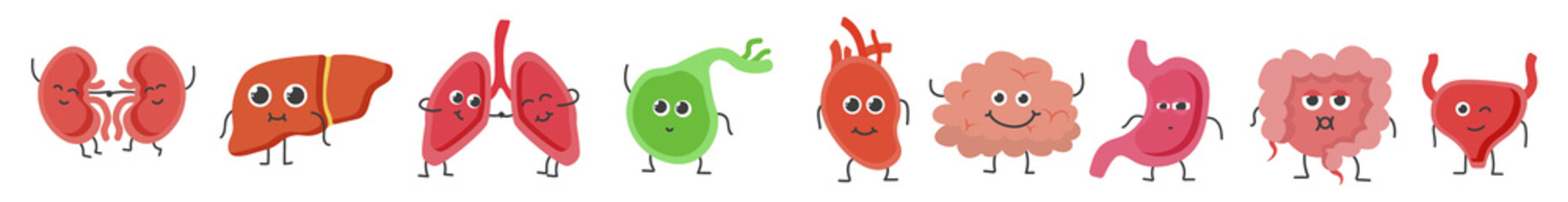 Internal organ icon set with vector anatomy illustrations including stomach brain liver kidney lung bladder colon skull health care symbols for medical interface and system design

