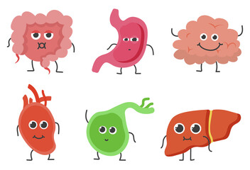 Internal organ icon set with vector anatomy illustrations including stomach brain liver kidney lung bladder colon skull health care symbols for medical interface and system design

