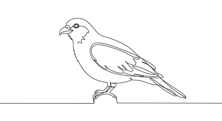 Line drawing of a bird standing on a branch in minimalist style  