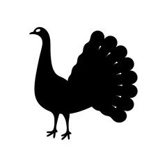 peacock animal black silhouette icon - designs for jungle animals peacock Safaris, wildlife, rainforest, vector on a white transparent.
