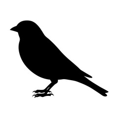 Obraz premium sparrow animal black silhouette icon - designs for jungle animals sparrow Safaris, wildlife, rainforest, vector on a white transparent.