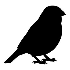 sparrow animal black silhouette icon - designs for jungle animals sparrow Safaris, wildlife, rainforest, vector on a white transparent.