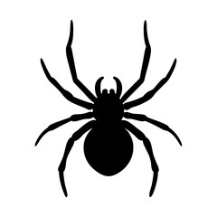 spider animal black silhouette icon - designs for jungle animals spider Safaris, wildlife, rainforest, vector on a white transparent.