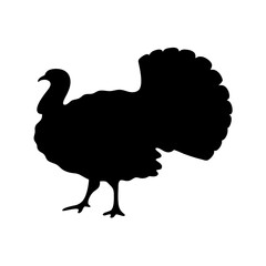 turkey animal black silhouette icon - designs for jungle animals turkey Safaris, wildlife, rainforest, vector on a white transparent.