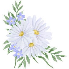 Fototapeta premium Arrangement Daisy Flowers Watercolor