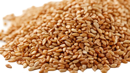Obraz premium Close-up of Roasted Sesame Seeds