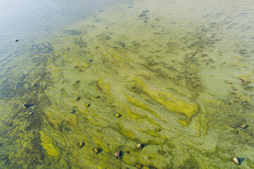 Estonian Nature: aerial drone view of a serene Baltic Sea shoal with crystal clear water and submerged rocks.