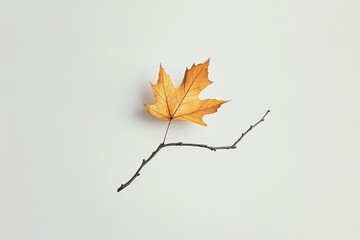 A single autumn leaf rests delicately on a bare twig against a plain background, embodying simplicity and natural decay.