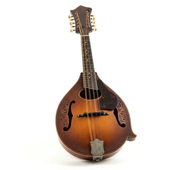 Obraz premium acoustic guitar isolated