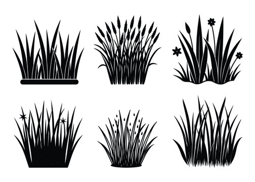 Set of grass silhouette vector illustration on white background. 