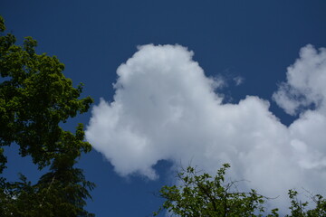 A white cloud in the shape of a dog against a blue sky