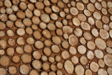 Tree trunks sections on the ground. Top view, background