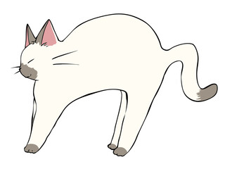 ポインテッド のびる