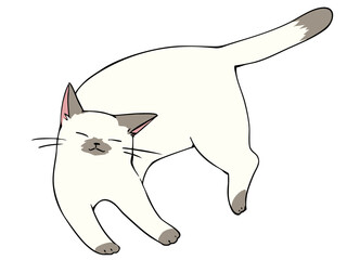 ポインテッド リラックス	