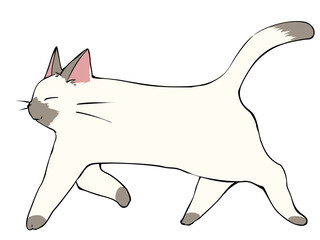 ポインテッド 歩く