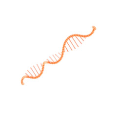 Minimalist 3D illustration of single-stranded RNA molecule on white background, representing genetic research, molecular biology, mRNA technology, and advanced biotechnology in modern healthcare and s