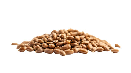 Fresh Sunflower Seeds on White Background - Organic Healthy Snack Concept